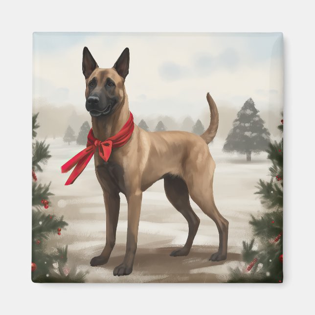 Imán Perro Malinois Belga en Navidad con Nieve (Frente)