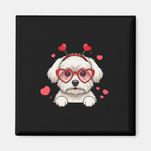 Imán Perro Maltés Corazón Cabeza y San Valentín Mujer M