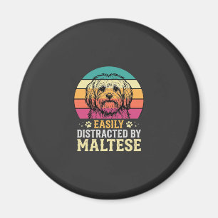 Imán Perro maltés distraído en puesta de sol retro
