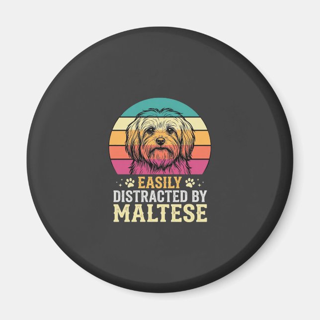 Imán Perro maltés distraído en puesta de sol retro (Frente)