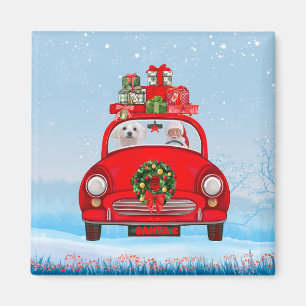 Imán Perro maltés en auto con Santa Claus