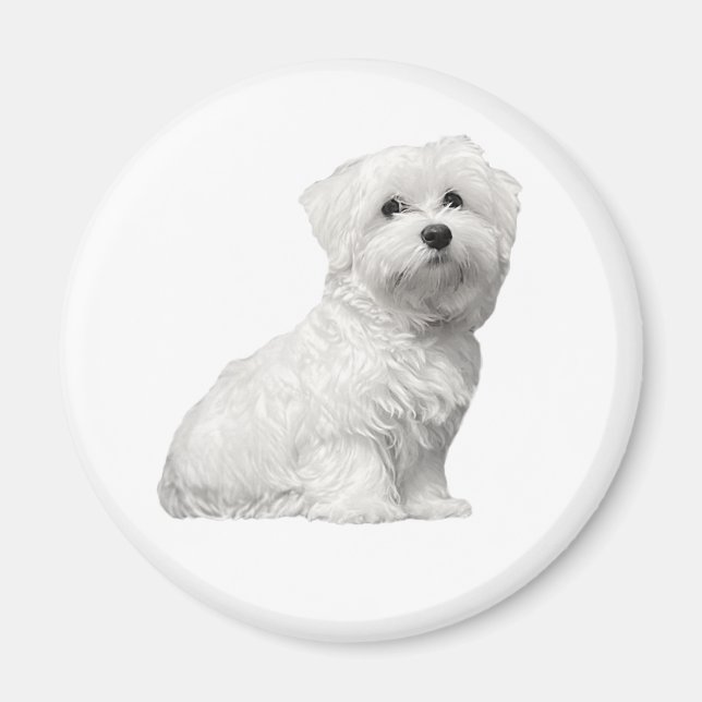 Imán Perro maltés lindo sentado cachorro (Frente)