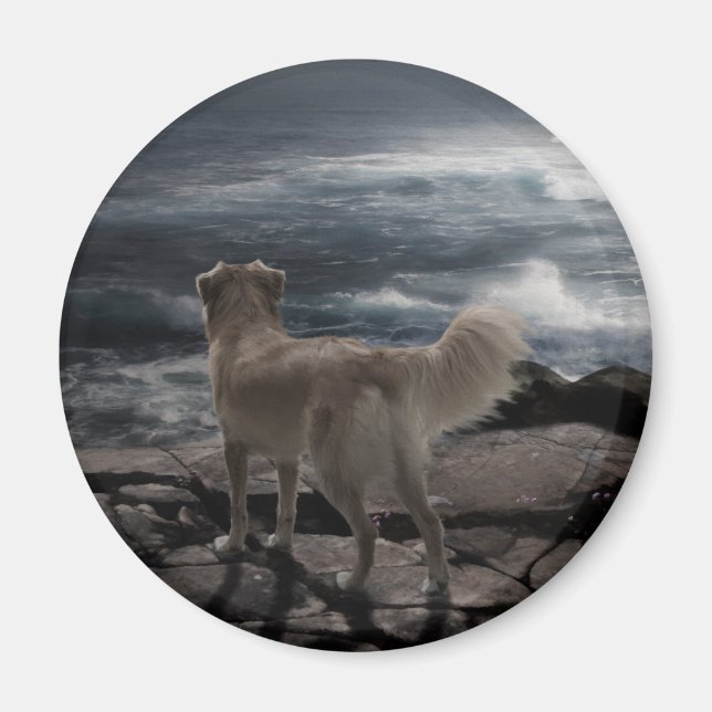 Imán Perro marino (Frente)