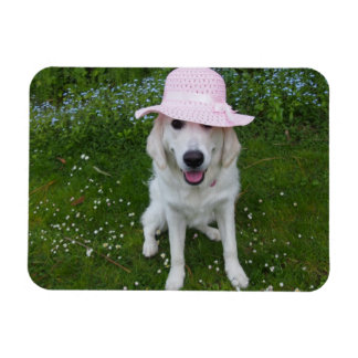 Imán perro más dulce del mundo