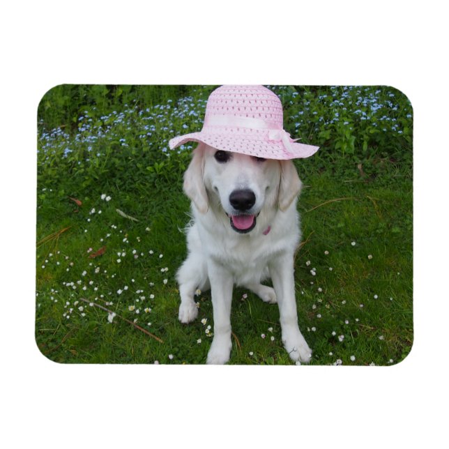 Imán perro más dulce del mundo (Horizontal)