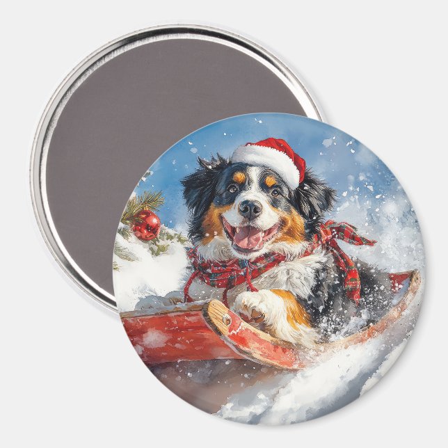 Imán Perro montañés de Bernese en Navidades de escabech (Anverso/Reverso)