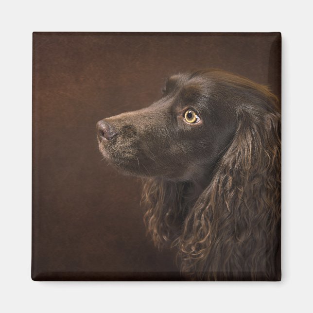 Imán Perro moreno (Frente)