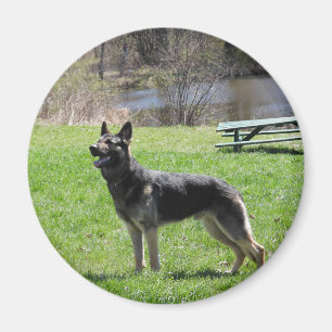 Imán Perro pastor alemán