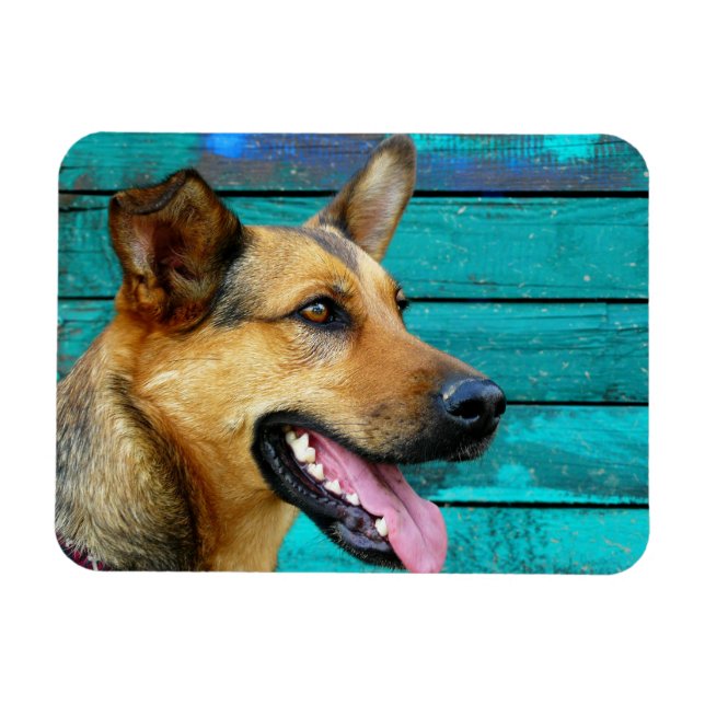 Imán Perro pastor alemán feliz (Horizontal)