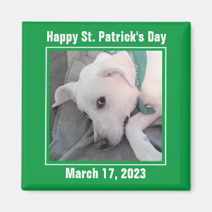 Imán Perro perezoso verde del Día de San Patricio