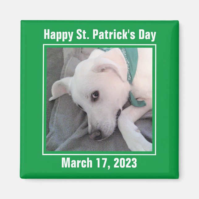 Imán Perro perezoso verde del Día de San Patricio (Frente)