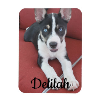 Imán Perro personalizado | Foto Mascota