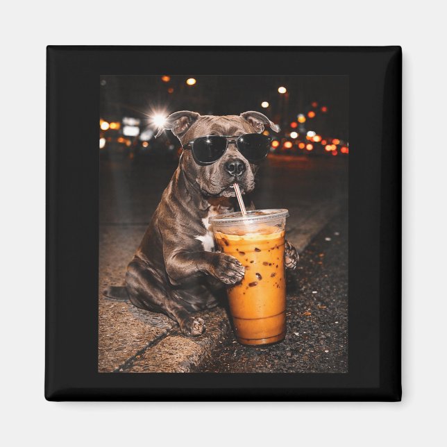 Imán Perro Pitbull bebiendo café helado con gafas de so (Frente)
