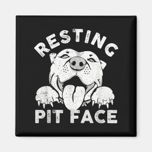 Imán Perro Pitbull Descansando Cara de Pit Humor Sarcás
