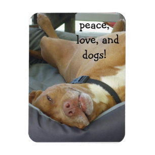 Imán Perro Pittbull - Paz, amor y perros