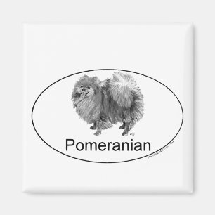 Imán Perro Pomerania Eruo