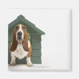 Imán Perro por la caseta de perro