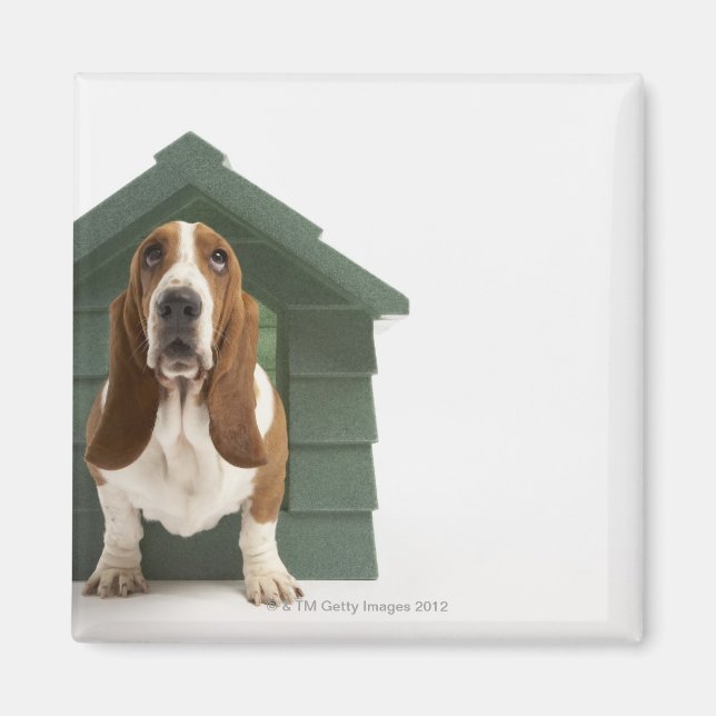 Imán Perro por perezoso (Frente)