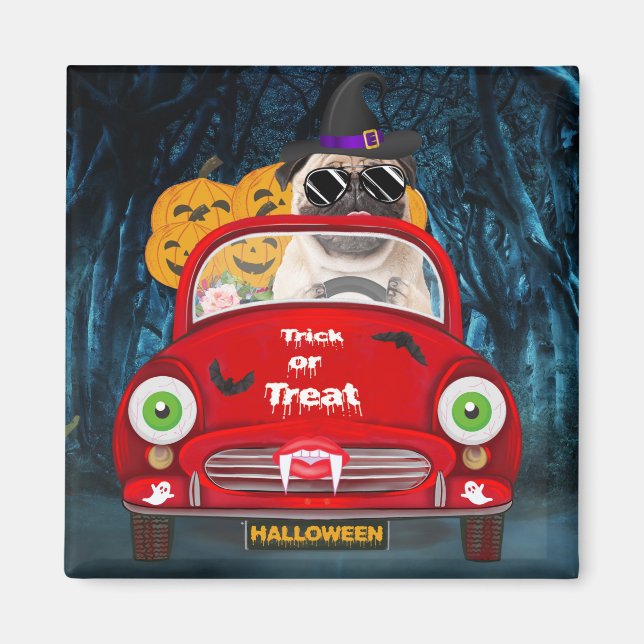 Imán Perro Pug conduciendo auto asusta Halloween (Frente)