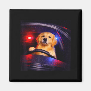 Imán Perro retriever dorado divertido conduciendo meme 