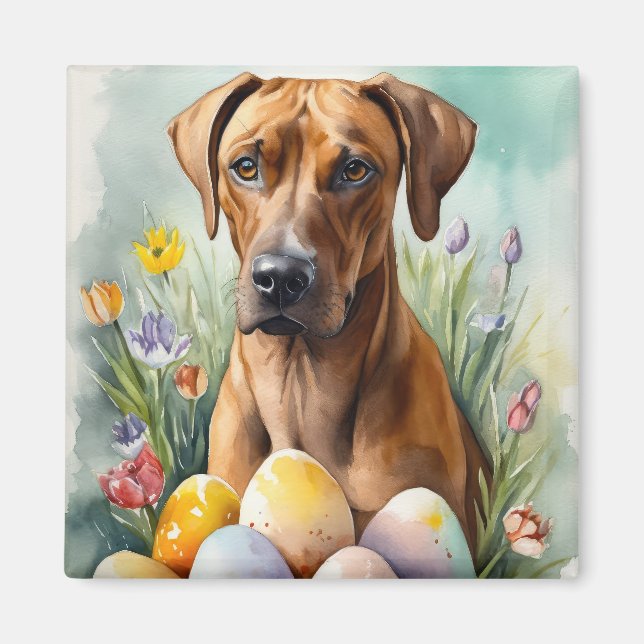Imán Perro Ridgeback de Rodesia con Fiesta de Huevos de (Frente)