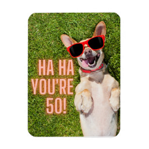 Imán Perro riéndose 50 cumpleaños
