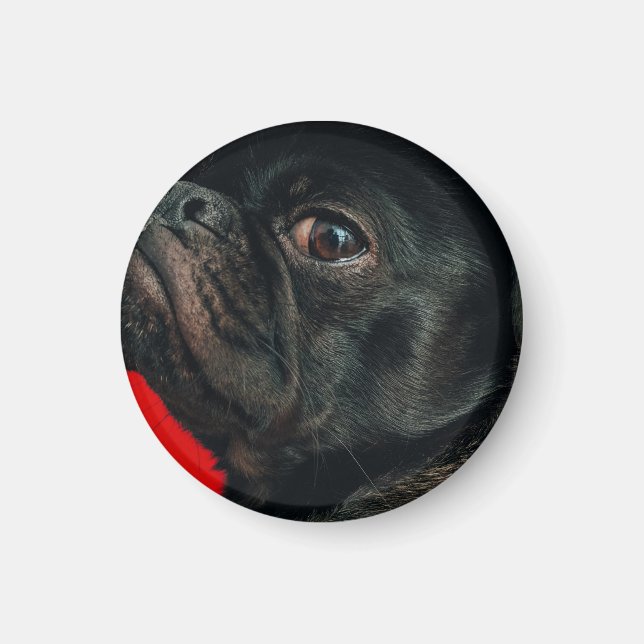 Imán perro rojo (Frente)