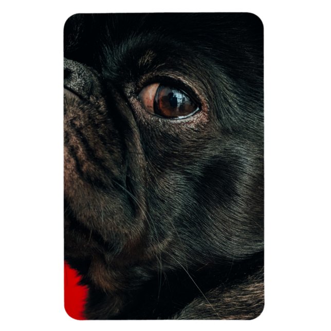 Imán perro rojo (Vertical)