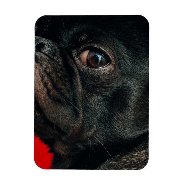 Imán perro rojo (Vertical)
