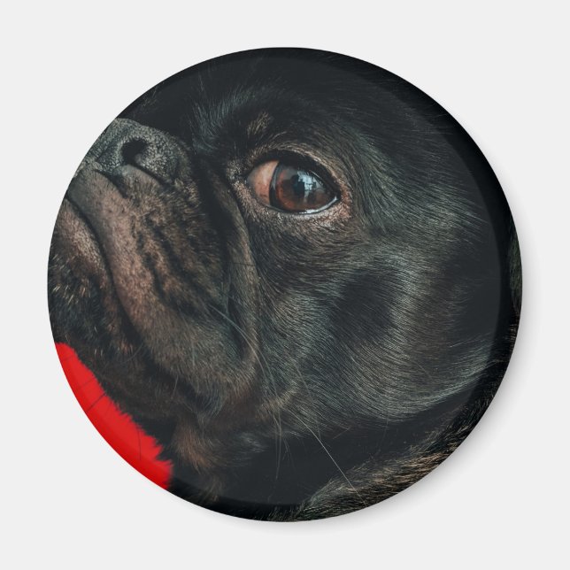 Imán perro rojo (Frente)