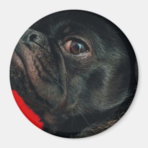 Imán perro rojo