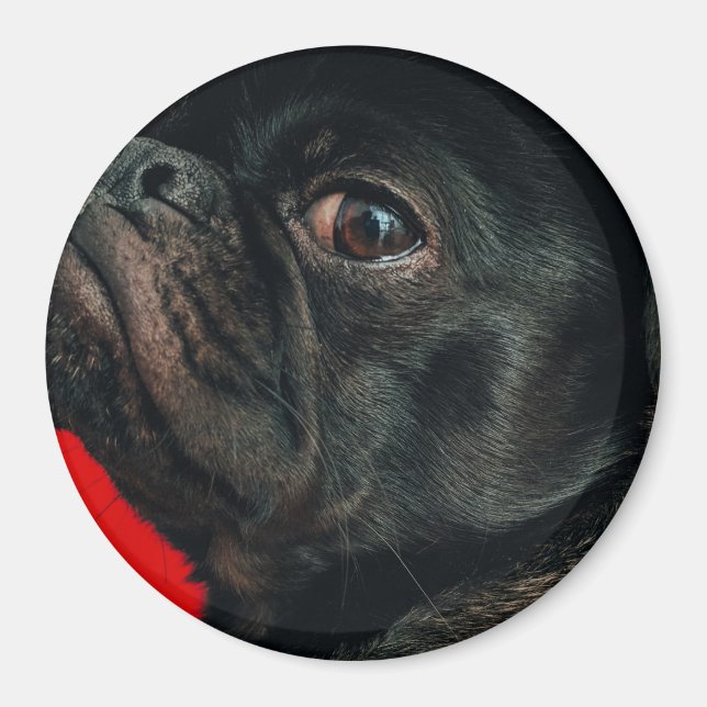 Imán perro rojo (Frente)