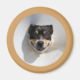 Imán Perro sonriente divertido