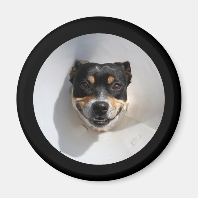 Imán Perro sonriente gracioso (Frente)
