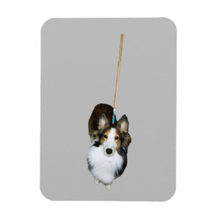 Imán Perro trapo
