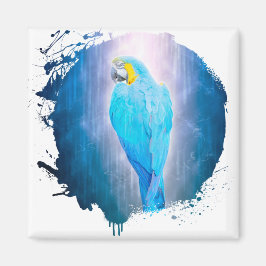 Imán Perroquet Oiseau Animal Vie Sauvage Forêt Jungle