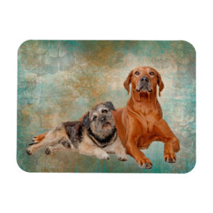 Imán Perros Adorables Sobre El Arte