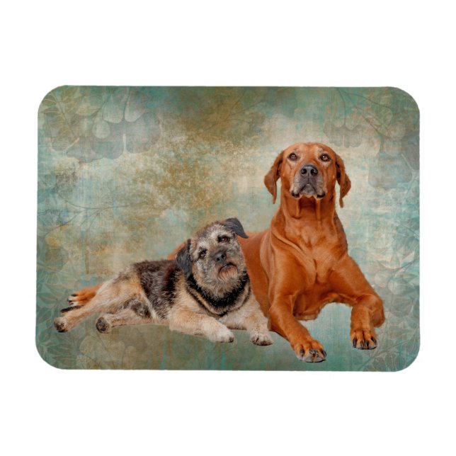 Imán Perros Adorables Sobre El Arte (Horizontal)