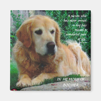 Imán Perros amorosos