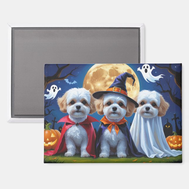 Imán Perros Bichon Frise Calabaza Halloween Divertido  (Anverso/Reverso)