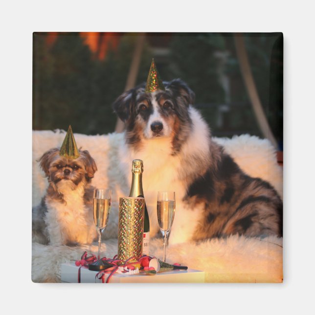 Imán Perros celebrando Año Nuevo (Frente)