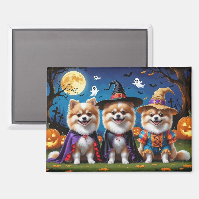 Imán Perros de Pomerania Calabaza Halloween Gracioso (Anverso/Reverso)