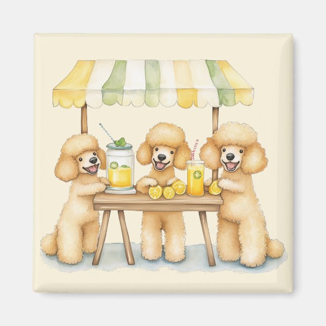 Imán Perros De Poodle Estándar Con Soporte De Lemonada (Frente)