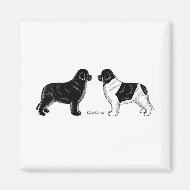 Imán Perros de Terranova negros y terrestres (Frente)