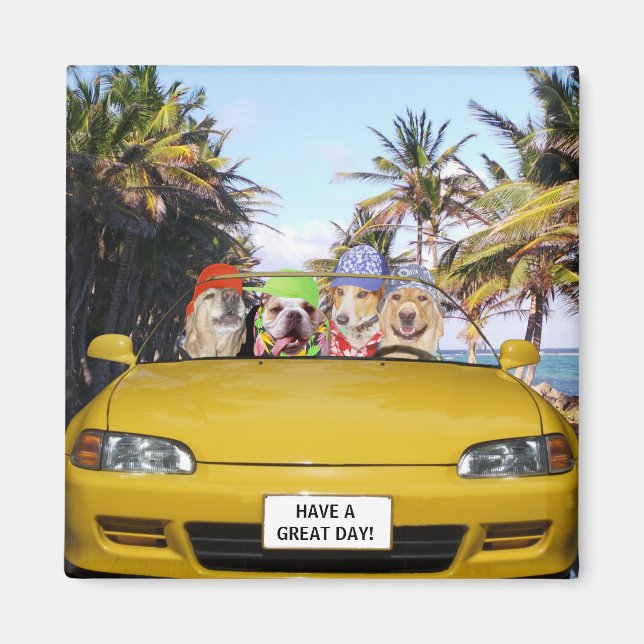 Imán Perros divertidos de personalizable en convertible (Frente)