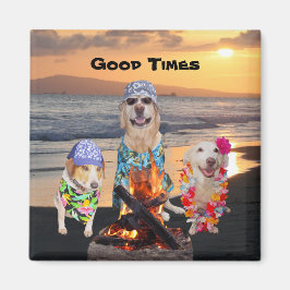 Imán Perros en la playa al atardecer