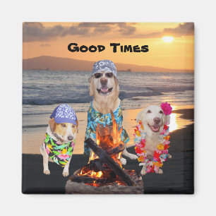 Imán Perros en la playa en la puesta del sol