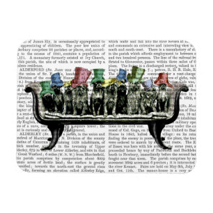 Imán Perros en Sofa