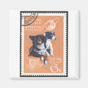 Imán Perros espaciales rusos Cosmos 1966 110