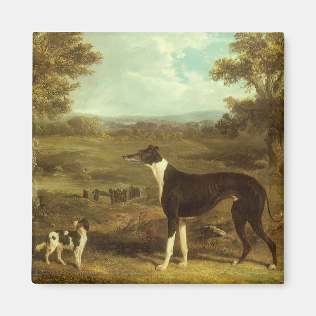 Imán Perros, Greyhound y Spaniel, Médica Fop by Herring (Frente)